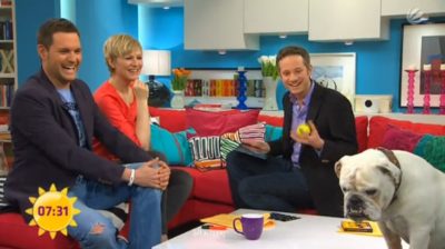 Dem Tennisball aus dem iPad traut der Studio-Hund nicht ganz